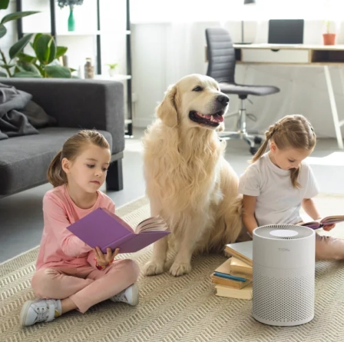 Tion IQ-100 белый